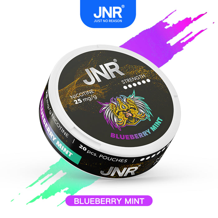 Blueberry Mint - JNR Nicotine Pouches